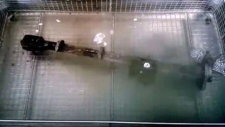 디지털 히터 타이머 스테인리스 산업용 자동차 부품 초음파 청소기 Jp-480st